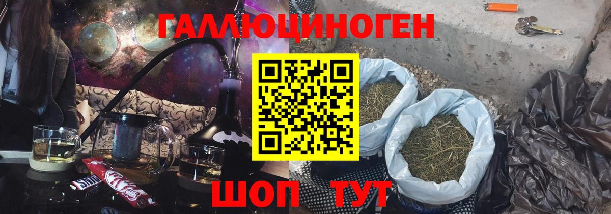 Псилоцибиновые грибы GOLDEN TEACHER  Вход с VPN  Псилоцибиновые грибы Psilocybine cubensis  Саров 