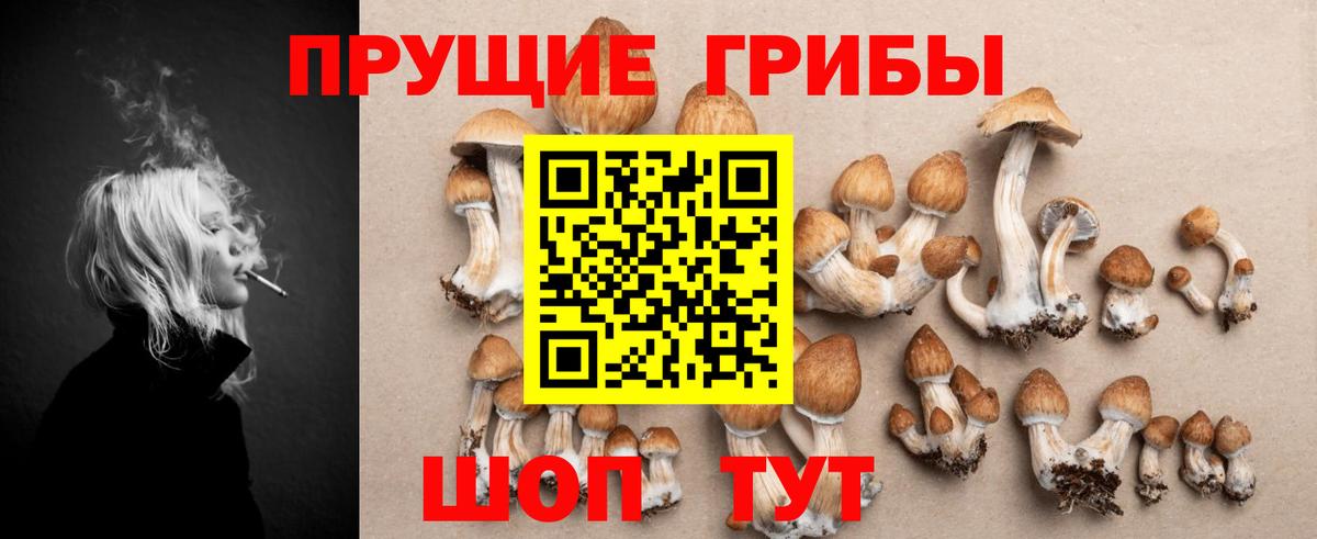 Псилоцибиновые грибы MAGIC MUSHROOMS Саров